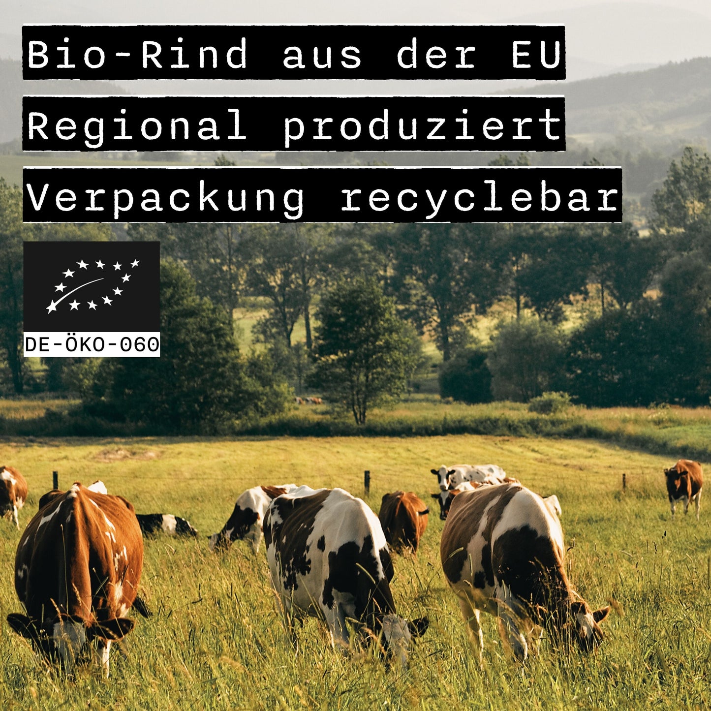 Bio Beef Sticks Mix 9x 32g